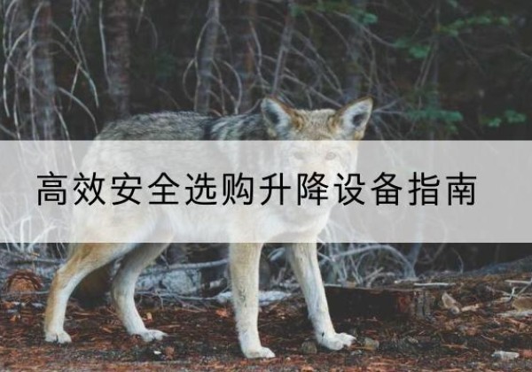 建瓯升降货梯厂家推荐-*安全选购升降设备指南
