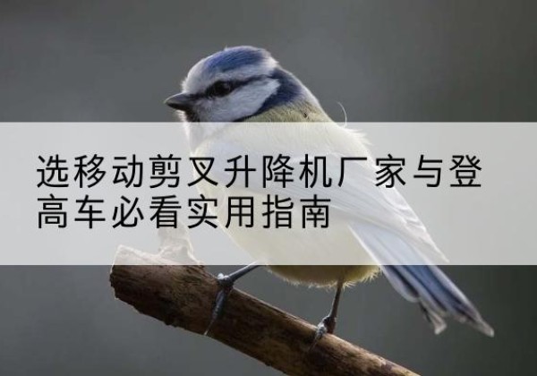 建瓯电动升降机厂家-选移动剪叉升降机厂家与登高车必看实用指南