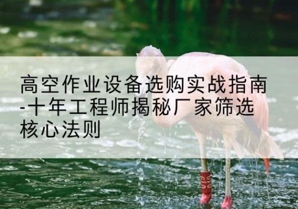 建瓯剪叉式升降机厂家-高空作业设备选购实战指南-十年工程师揭秘厂家筛选核心法则
